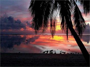 Sunset Palms Rarotonga - Garden View Bungalow -