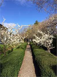 Holly's Place - Martinborough