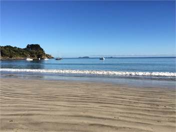 Palm Beach Gem - Waiheke Island