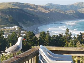 Castlepoint Beach House - Castlepoint
