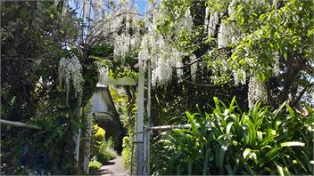 Guthrie Cottage B&B - Hastings