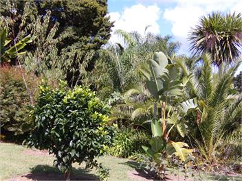 Milton Park Sunset cottage - Kaikohe