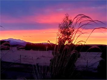 Manuka Magic - Twizel, Ben Ohau