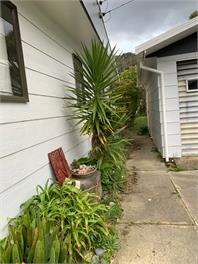 Kutakuta in Ngakuta - Picton