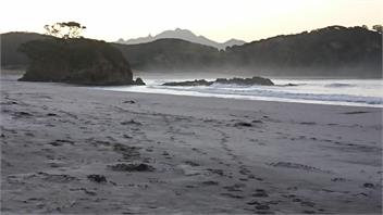 Medlands Retreat - Great Barrier Island