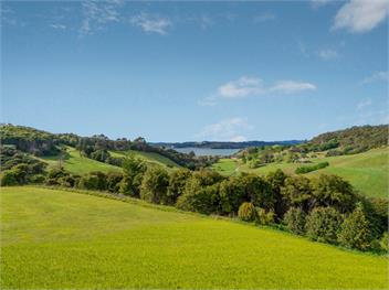 Peace and Paradise (Bachcare) - Whitianga