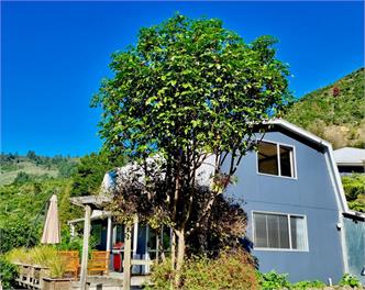 Pukenui Paradise (Bachcare) - Havelock