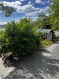 Dehra Doon Chalets - Tasman