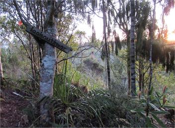 Immerse yourself in the West Coast native flora and fauna - swimming, sunsets and tranquility - Westport