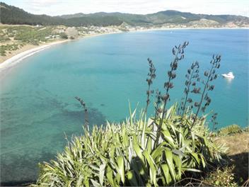 Paradiso - Whitianga
