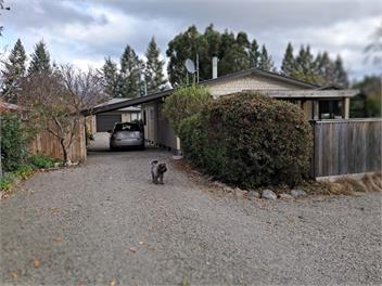 Mountain views & Pet Friendly on Woodbank - Hanmer Springs