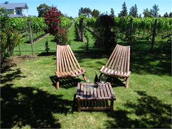  Villa In The Vines - Martinborough  - South Wairarapa