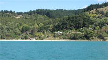 Anaura Bay - East Coast