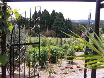 Milton Park country view cottage - Kaikohe