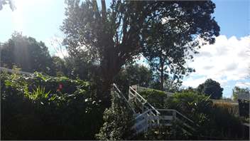 Hidden Treasure in Remuera - Auckland