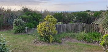 Te Horo Beach house - Kapiti Coast