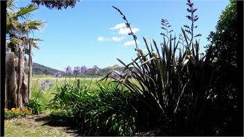 39 Cullen Street MANGAWHAI HEADS - MANGAWHAI HEADS