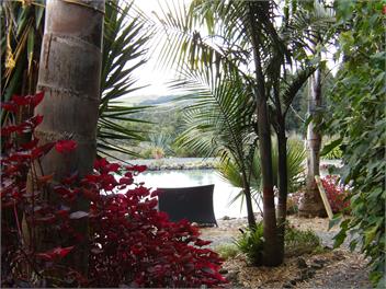 Milton Park country view cottage - Kaikohe