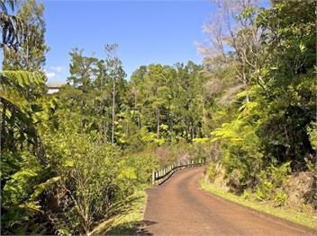Treetop Oasis (Bachcare) - Tairua