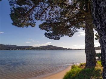 Estuary Escape (Bachcare) - Pauanui