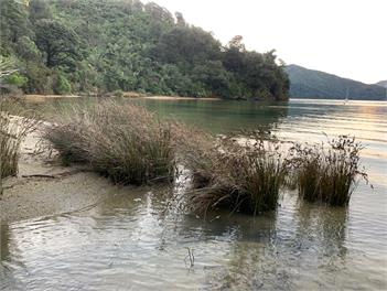 Kutakuta in Ngakuta - Picton