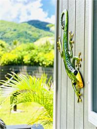Inave Oasis - ‘A private & Relaxing place to stay’ - Rarotonga