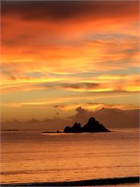 Oakura Bay Absolute-Beachfront Holiday Home - Northland
