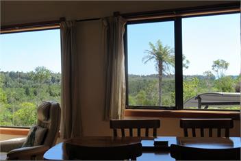 Immerse yourself in the West Coast native flora and fauna - swimming, sunsets and tranquility - Westport