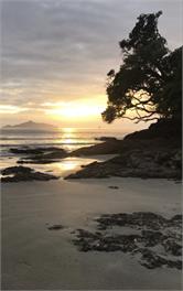 The Beach House Waipu Cove -