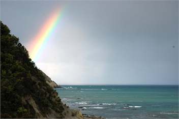 Anaura Bay - East Coast