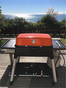 Absolute Beach Front at Patons Rock - Takaka