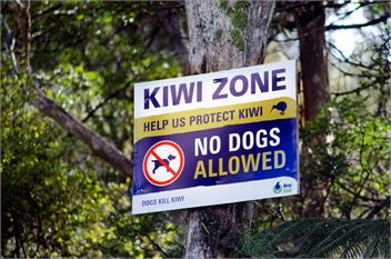 Waiotoi - The Bush Hideaway - Ngunguru