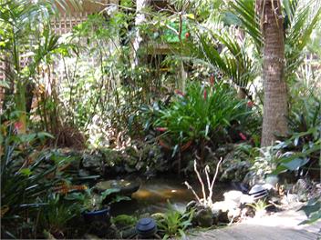 Milton Park country view cottage - Kaikohe