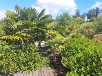 Cement Workers Cottage - Golden Bay