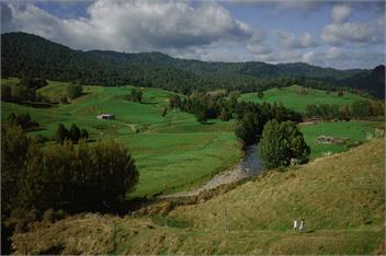 Waitawheta Cottage - Waihi