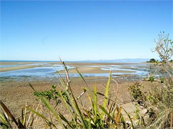 Tomatea Rua (Bachcare) - Pakawau