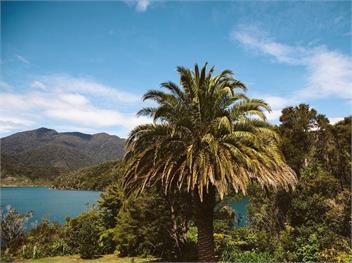 Lanza Retreat (Bachcare) - Tennyson Inlet