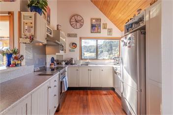 Pointers (Bachcare) - Akaroa