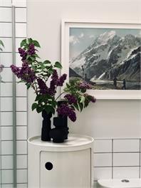 Holly's Place - Martinborough