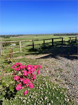Okahu Vineyard Stay - Northland