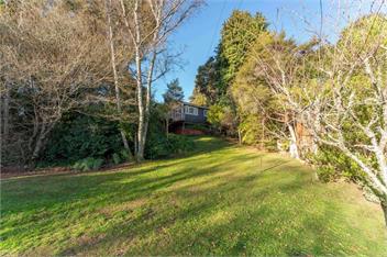 Singlee (Bachcare) - Turangi