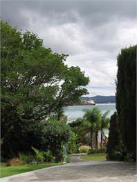 Thistle Do - Whangarei 0174