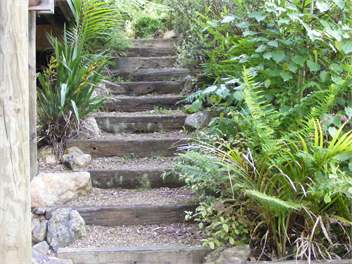 Palm Beach " Among The Trees" - Waiheke Island