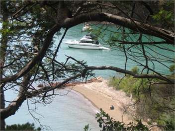 Kawau Beach house - Auckland
