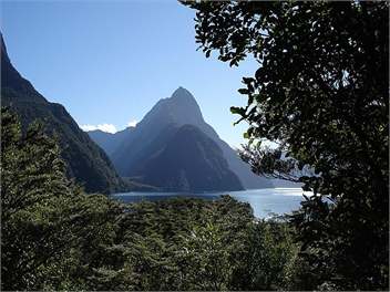 Kepler Mountain View Alpaca Cottage - Free Unlimited Wi-fi - Manapouri