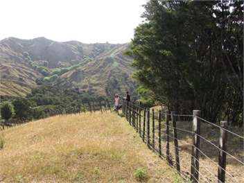 Linburn Farmstay - Gisborne