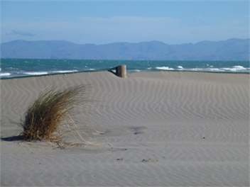 Beach Bach Apartment - North Canterbury