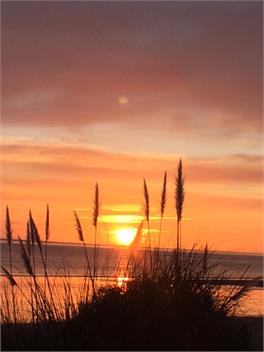 Absolute Beach Front at Patons Rock - Takaka