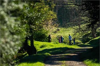 Mahaanui Cottage Farmstay Experience - Gisborne 4078 New Zealand