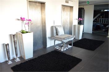 The Black Diamond  - Auckland